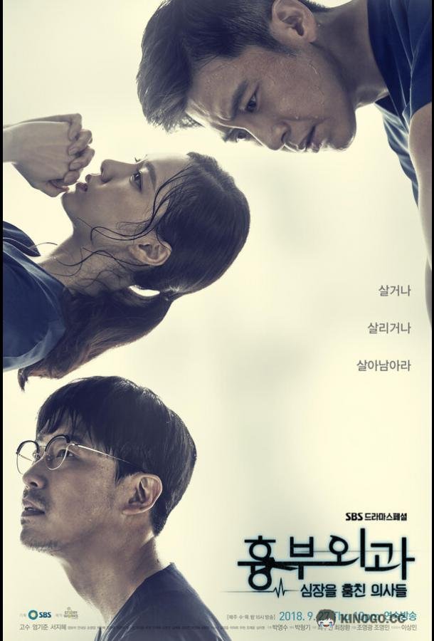 Кардиохирурги Hyungbuoegwa (2018)