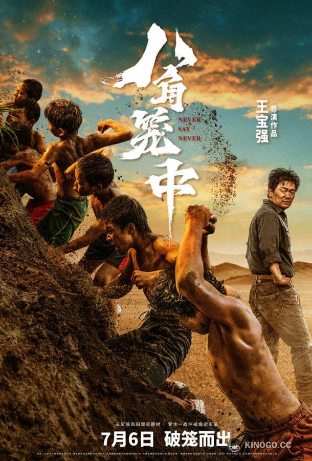 Никогда не говори «никогда» Ba jiao long zhong (2023)