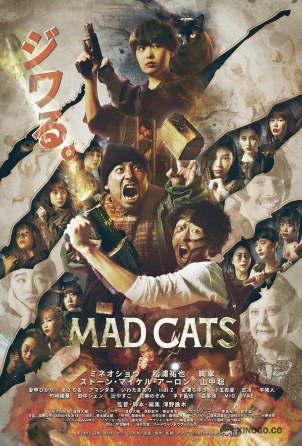 Бешеные кошки Mad Cats (2023)