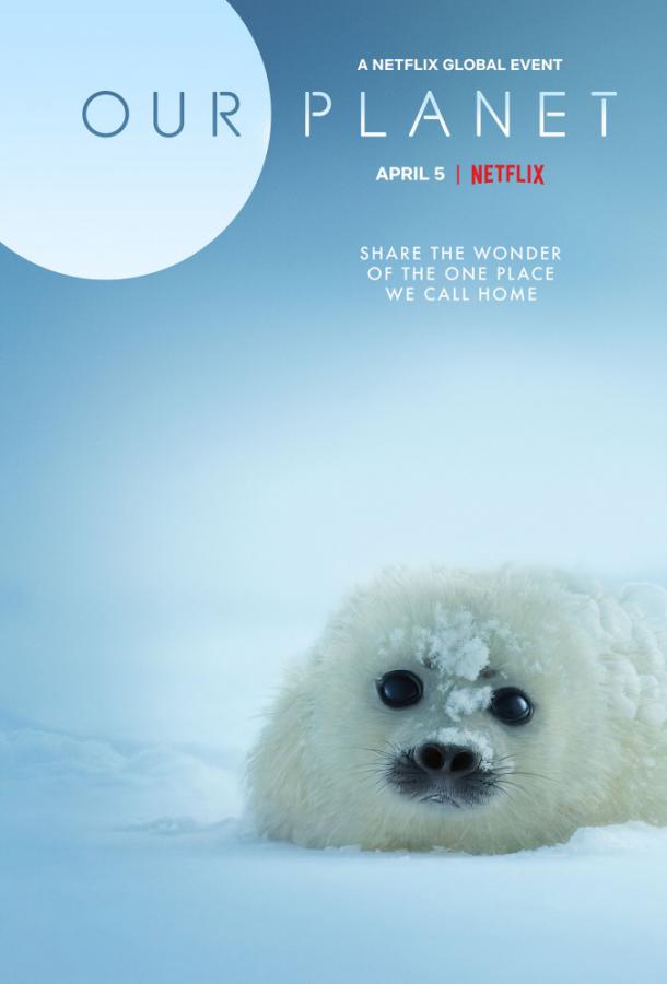 Наша планета Our Planet (2019)