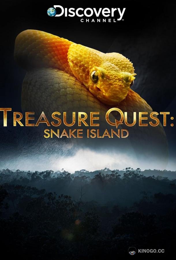 В поисках сокровищ: Змеиный остров Treasure Quest: Snake Island (2015)