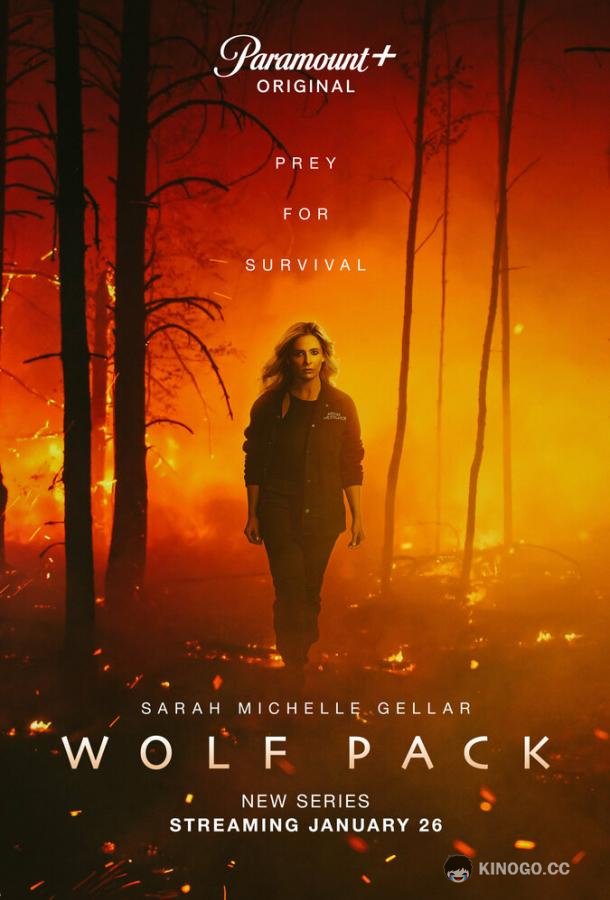 Волчья стая Wolf Pack (2023)