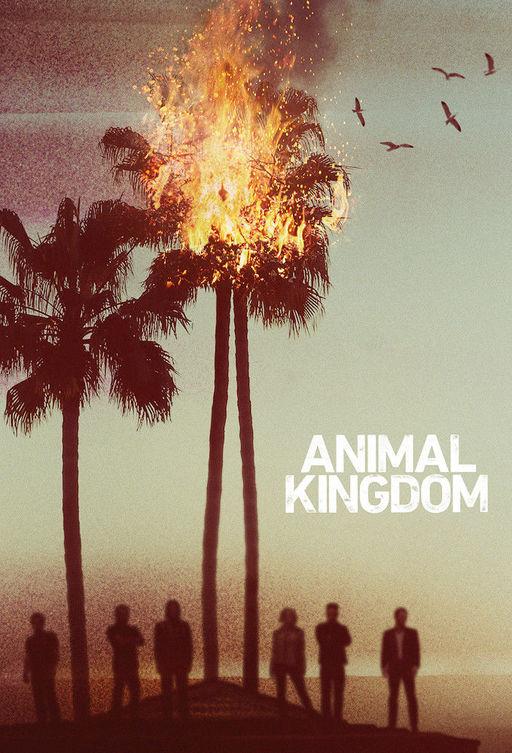 По волчьим законам Animal Kingdom (2016)