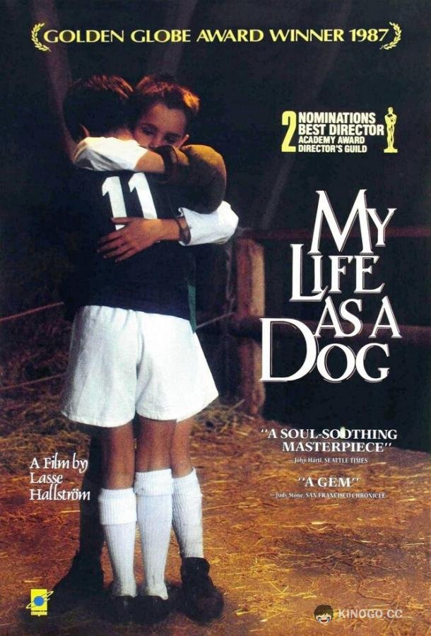 Моя собачья жизнь Mitt liv som hund (1985)