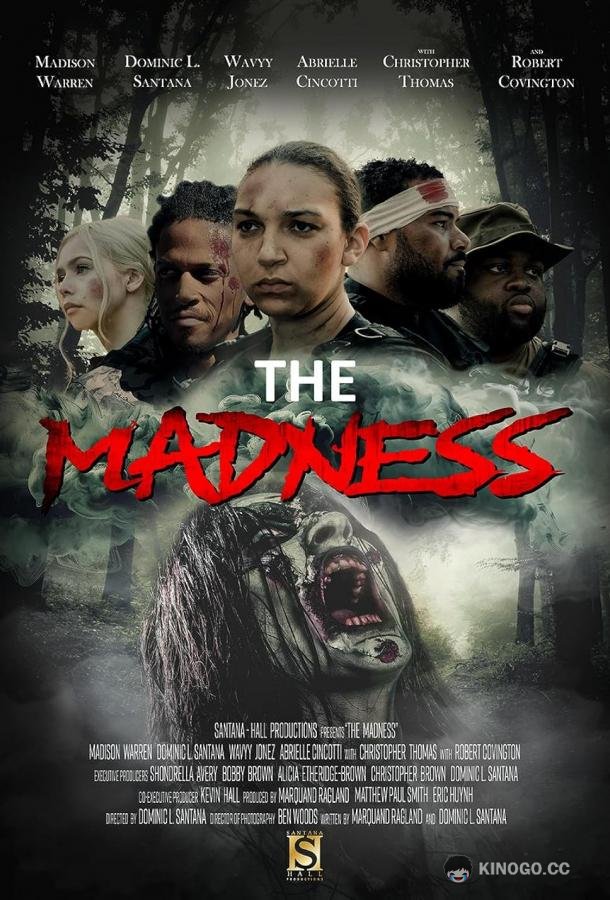 Безумие The Madness (2023)