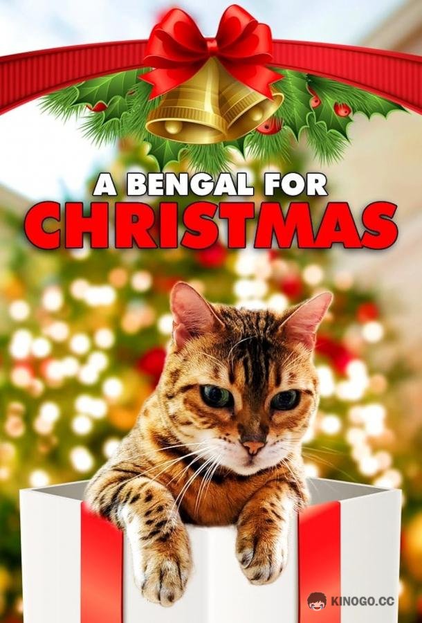 Бенгальская кошка на Рождество A Bengal for Christmas (2023)