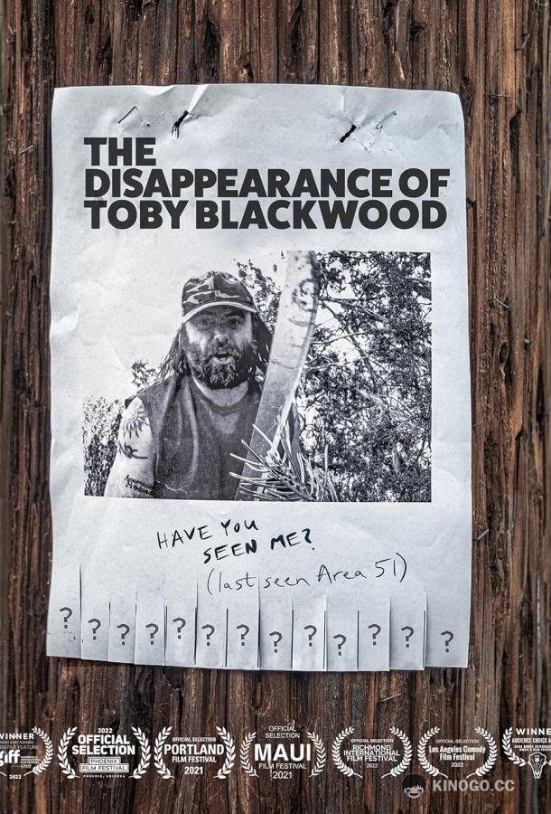 Исчезновение Тоби Блэквуда The Disappearance of Toby Blackwood (2022)