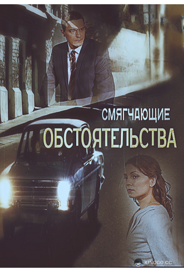 Смягчающие обстоятельства  (2017)