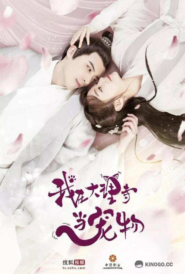 Я — питомец в храме Дали Wo zai da li si dang chong wu (2018)