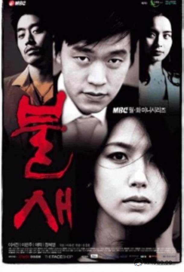 Феникс Bulsae (2004)