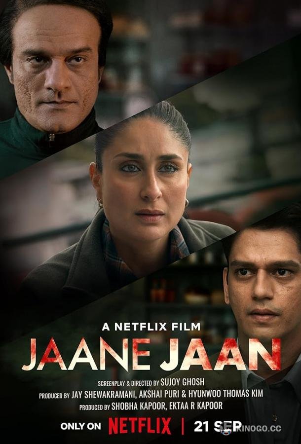 Преданность подозреваемого X Jaane Jaan (2023)