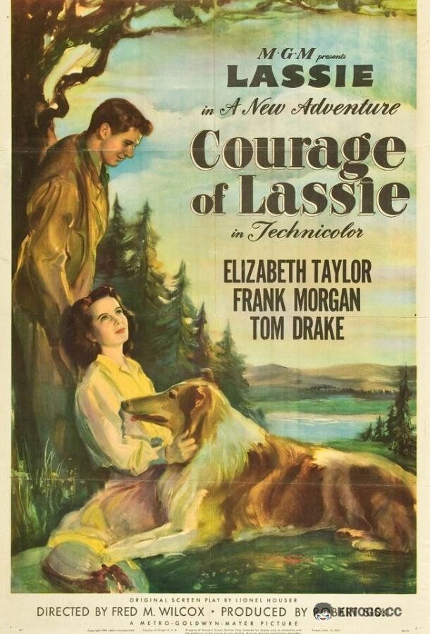 Храбрость Лэсси Courage of Lassie (1946)