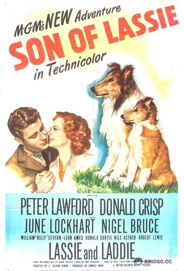 Сын Лесси Son of Lassie (1945)