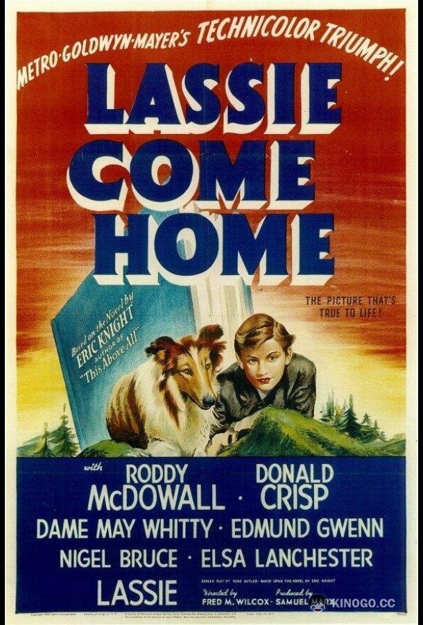 Лесси возвращается домой Lassie Come Home (1943)