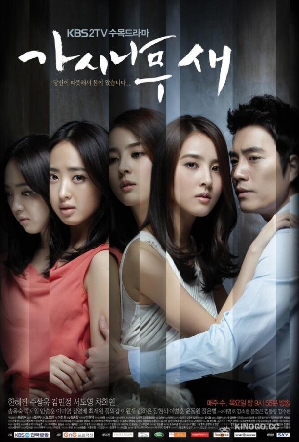 Поющие в терновнике Gasinamusae (2011)