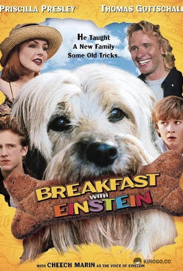 Завтрак с Эйнштейном Breakfast with Einstein (1998)