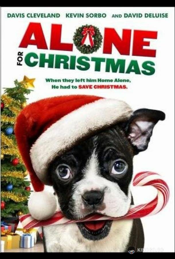 Одни на Рождество Alone for Christmas (2013)