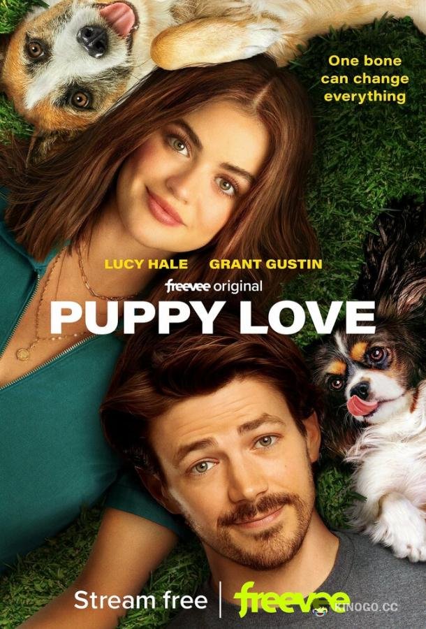 Щенячья любовь Puppy Love (2023)