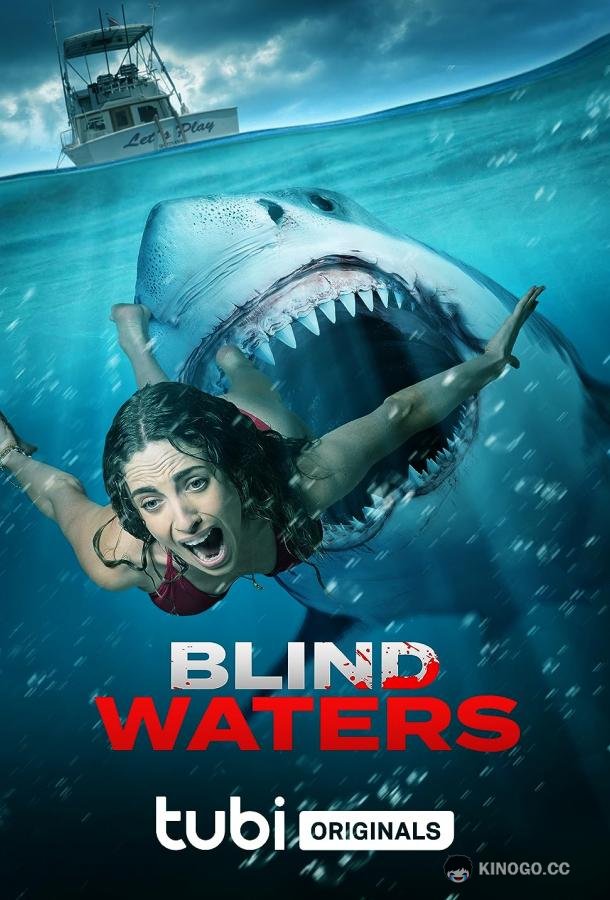 Мутные воды Blind Waters (2023)