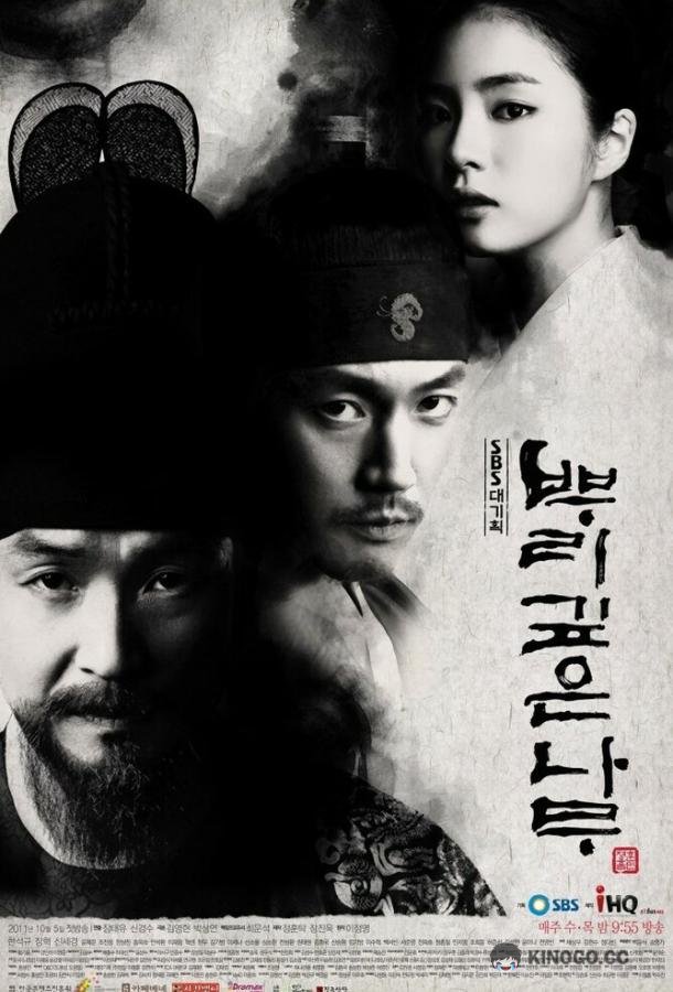 Дерево с глубокими корнями Ppurigipeun namu (2011)