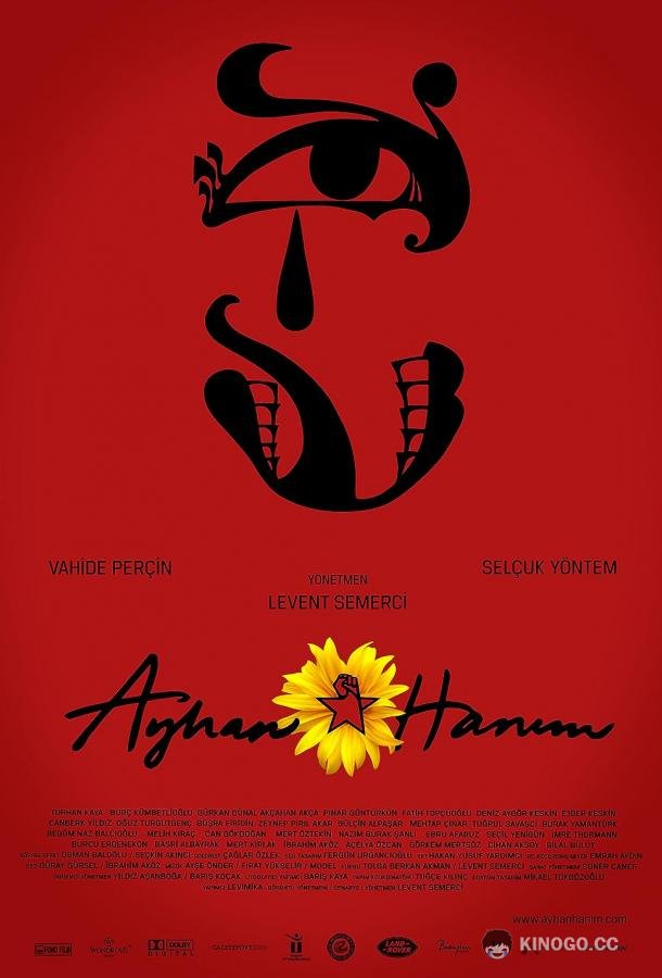 Госпожа Айхан Ayhan Hanim (2014)