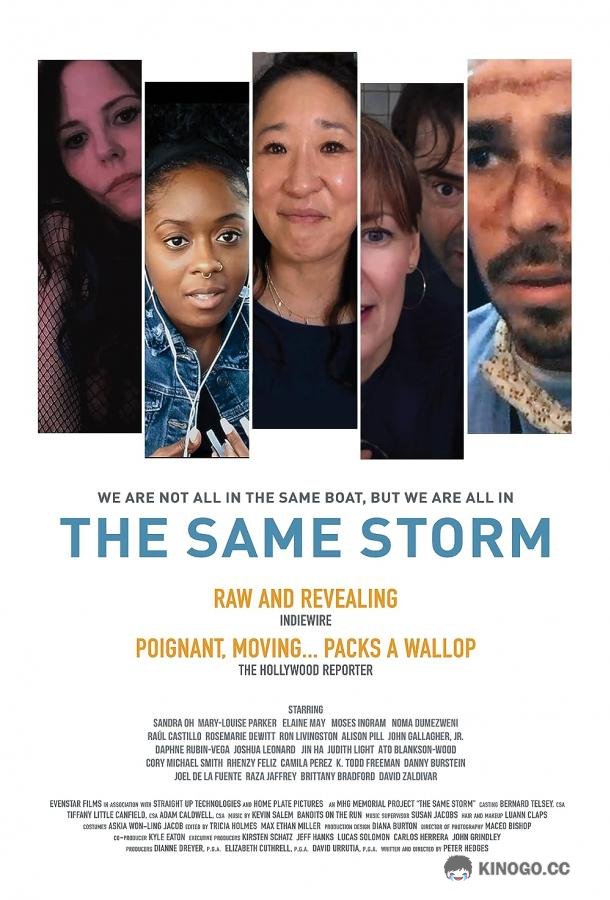 Связанные одной бурей The Same Storm (2021)