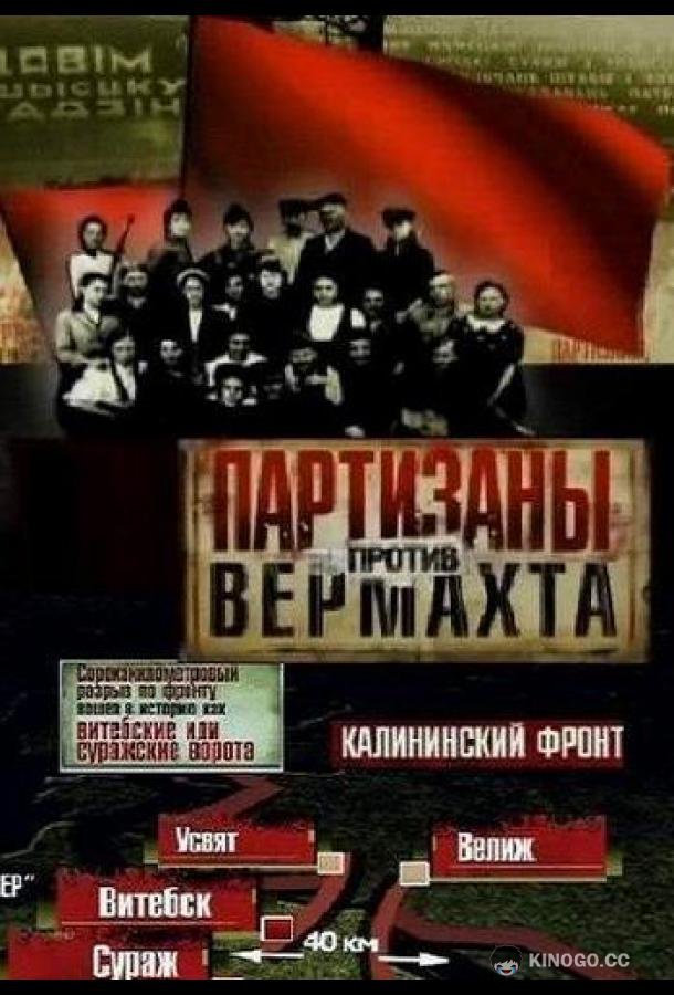 Партизаны против Вермахта  (2010)