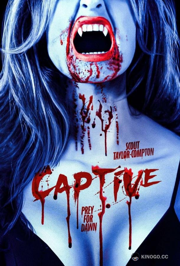 Пленник Captive (2023)