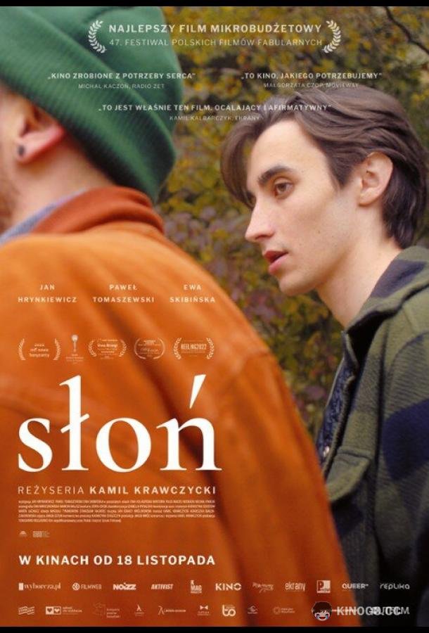 Слон Slon (2022)