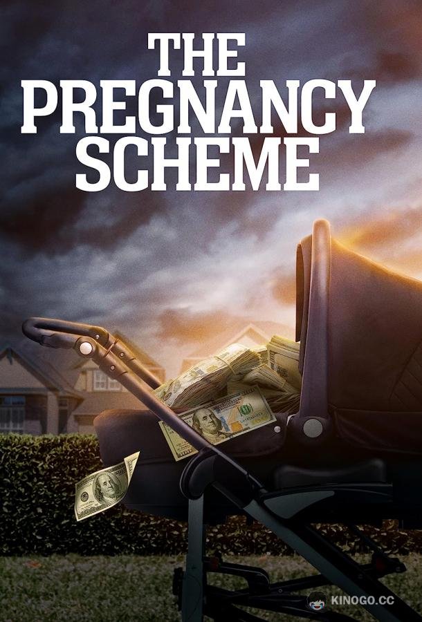 Фальшивая беременность The Pregnancy Scheme (2023)