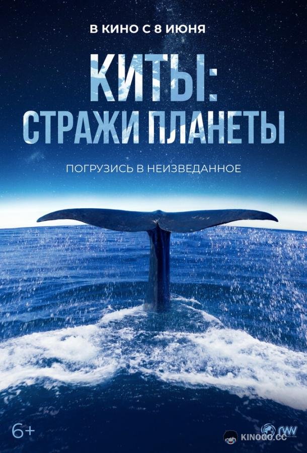 Киты: Стражи планеты Les gardiennes de la planète (2023)