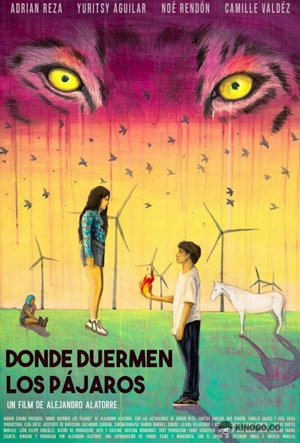 Там, где спят птицы Donde duermen los pájaros (2022)