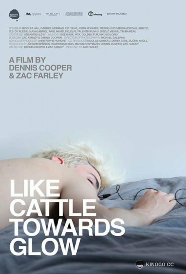 Навстречу сиянию Like Cattle Towards Glow (2015)