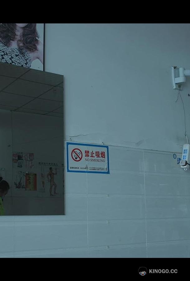 Хорошая девушка из Сычуаня The Good Woman of Sichuan (2021)