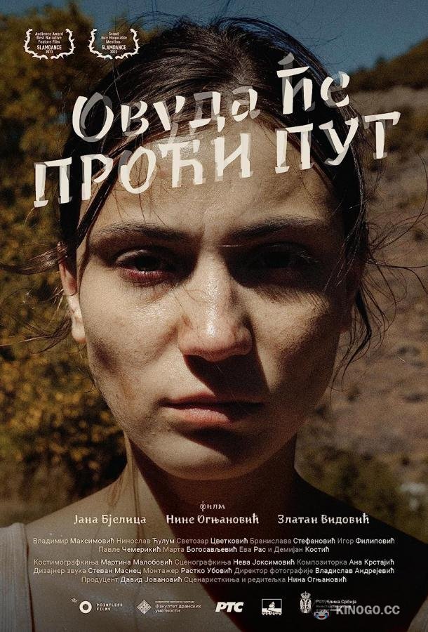 Куда ведёт дорога Ovuda ce proci put (2023)