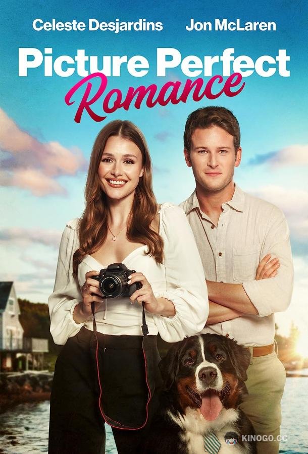 Идеальный роман Picture Perfect Romance (2022)