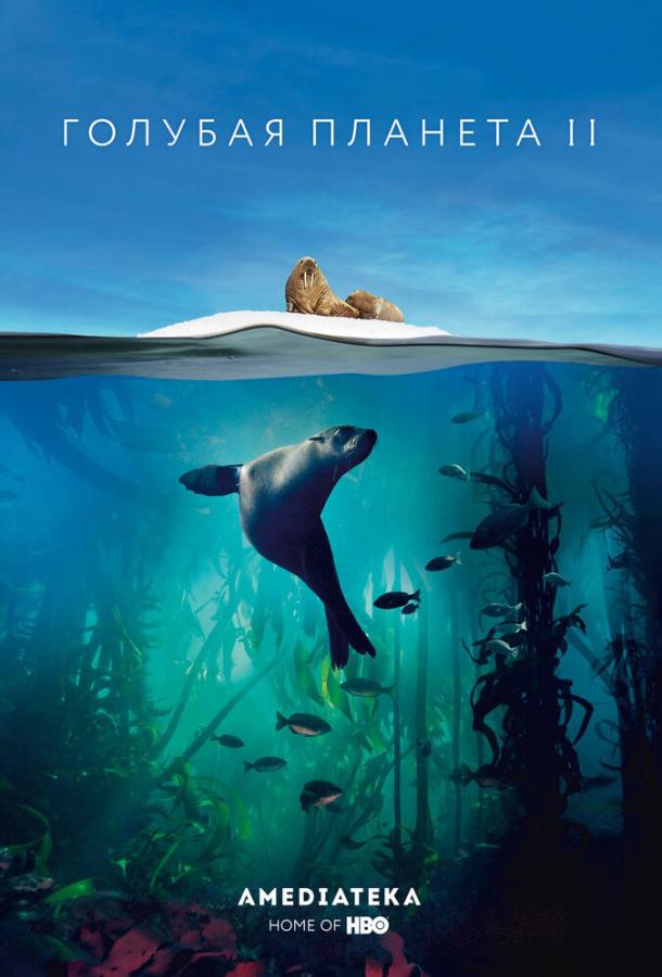 Голубая планета 2 Blue Planet II (2017)