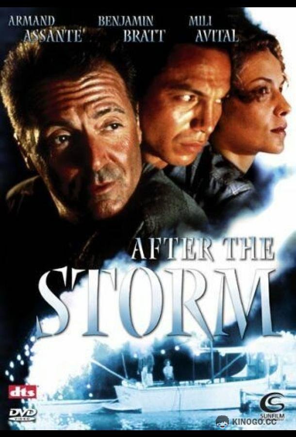 После шторма After the Storm (2001)