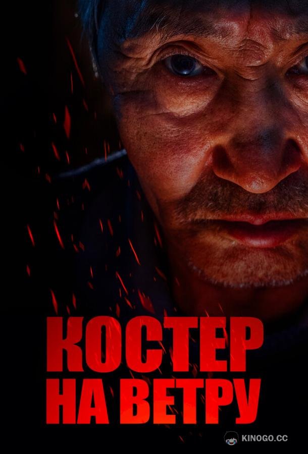 Костер на ветру  (2016)