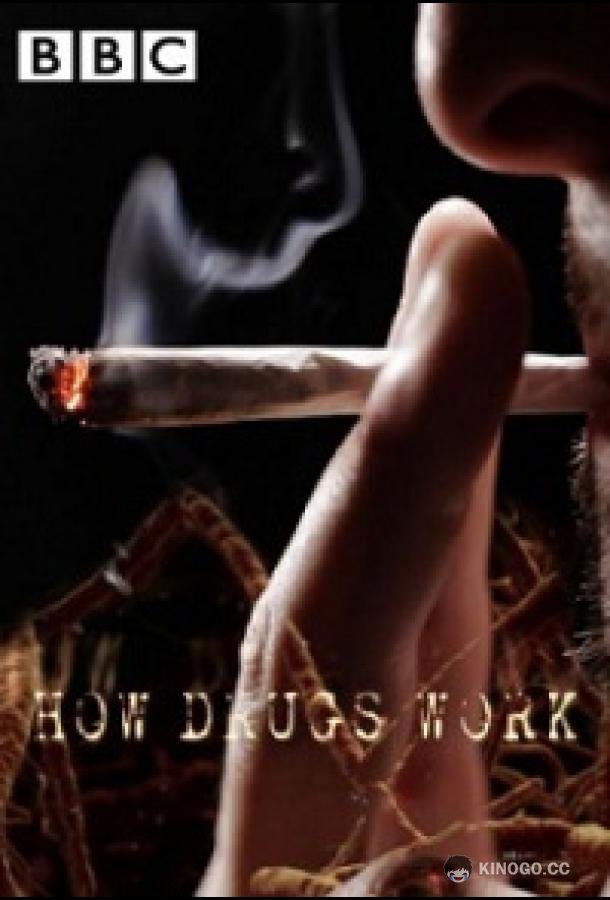 Как действуют наркотики How drugs work (2011)