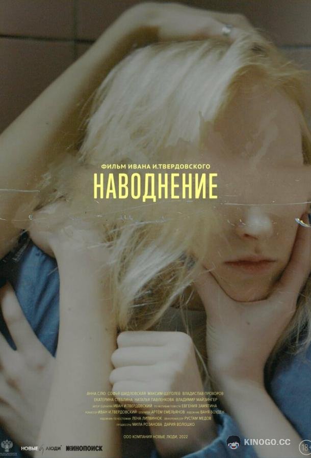 Наводнение  (2022)