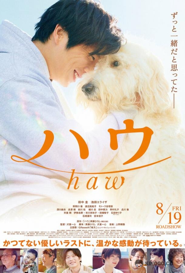 Гав Haw (2022)