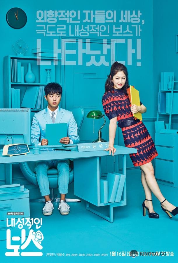 Необщительный босс Naesungjukin boseu (2017)